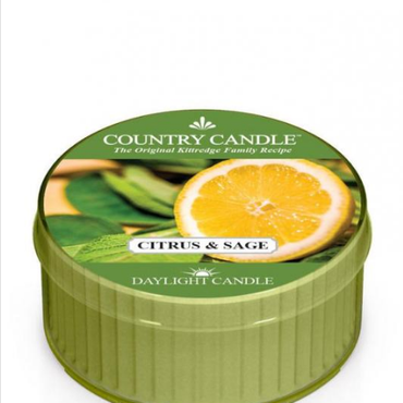  Country Candle - Citrus and Sage - Daylight (35g) Świeca zapachowa